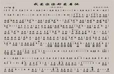 我始终爱着你爱的味道