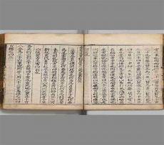 一掌经十二宫详解